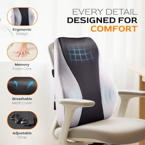 Extra Dense Lumbar Pillow with Double Adjustable Straps