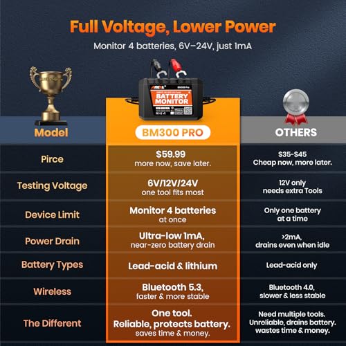 BM300 Pro Battery Monitor