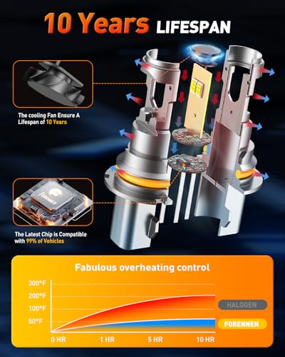H4 Fog Light Bulbs