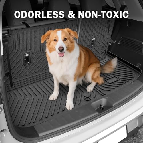 Floor Mats for 2022 (9 Count)