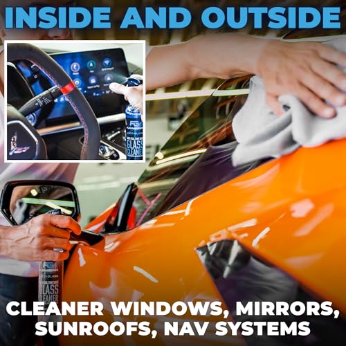 Window and Glass Cleaner Streak Free for Cars (16 Fl Oz)