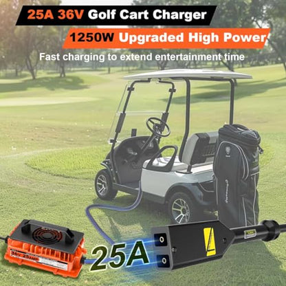 25A 36V Golf Cart Charger for EZGO TXT