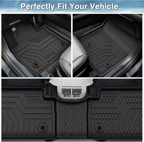 Santa Cruz Floor mats