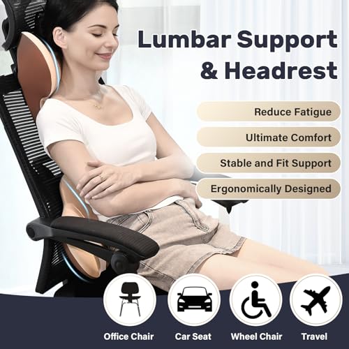 Lumbar Support and Car Neck Pillow