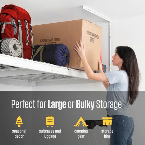White 4x8 Overhead Storage Rack w