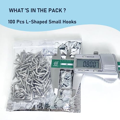 304 Stainless Steel 2 in Screw (20 Count)