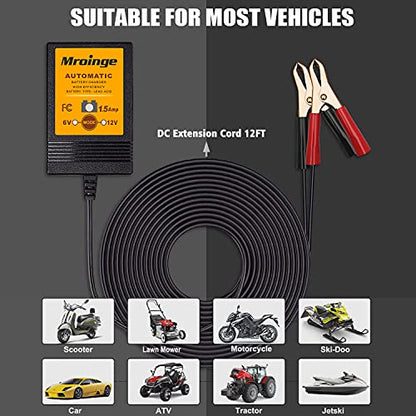 Smart Battery Charger