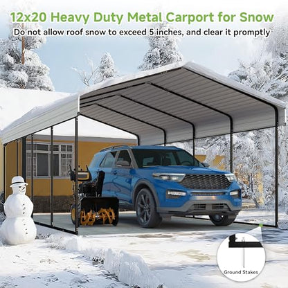 12x20FT Metal Carport