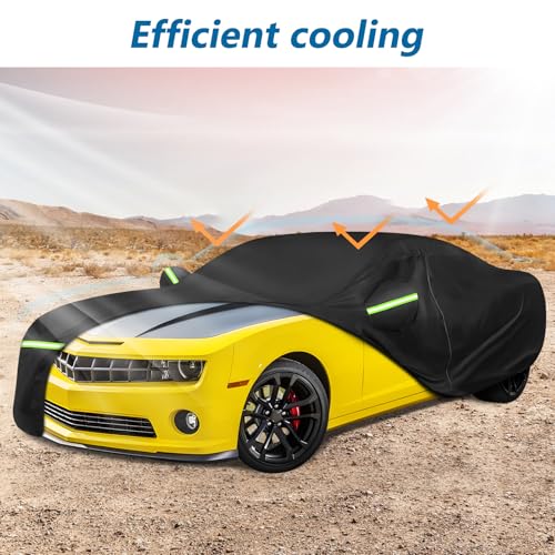 Car Cover for 2010
