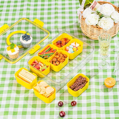 Divided Snack Serving Tray with Lid and Handle Travel Snackle Charcuterie Container Portable Storage Organizer for Candy (28 Ounce)