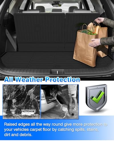 Floor Mats Fit for 2020