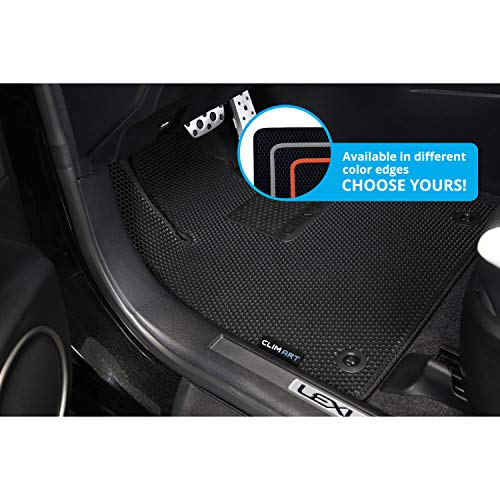 All Weather Car Floor Mats Compatible with Lexus RX 2016