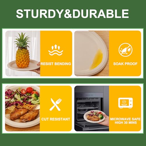Paper Plates 9 Inch 125 (125 Count)