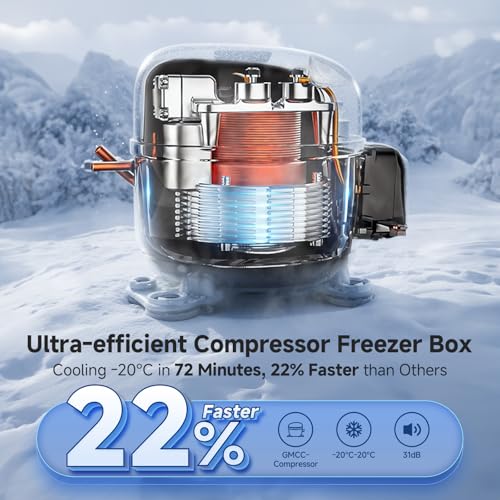COOLER 12 Volt Car Refrigerator