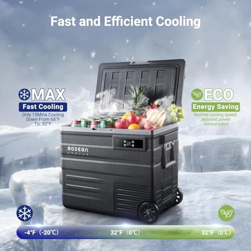 COOLER 12 Volt Car Refrigerator