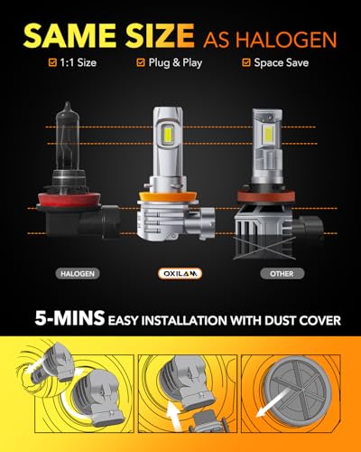 H11 LED Bulbs (2 Count)