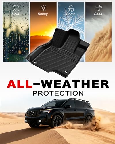 Floor Mats & Cargo Liner Fit for 2019