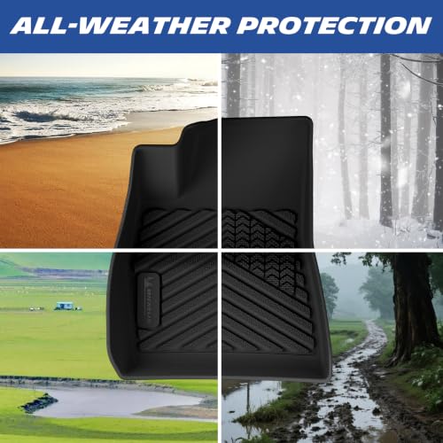 Vehicle Mats for 2021