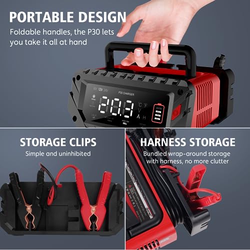 30 Amp Lithium Battery Charger
