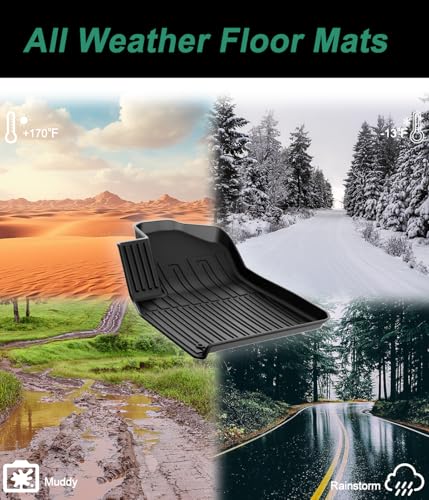 Floor Mats & Cargo Liner Fit for 2017