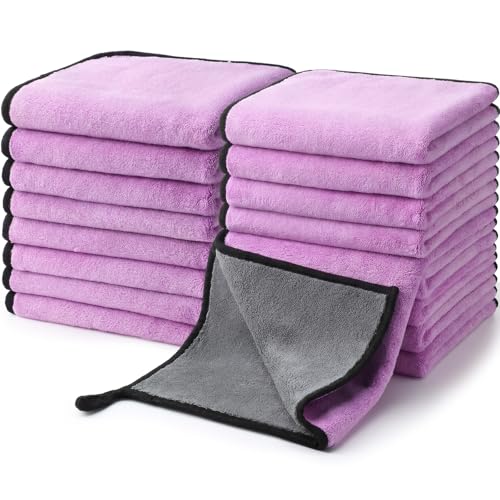 20 Pcs Microfiber Car Drying Towels Microfiber Cleaning Cloth 800 GSM Thick Plush Cleaning Dusting Cloth Auto Detailing Absorbent Towels Rags for Car Household Kitchen Window (20 Count)