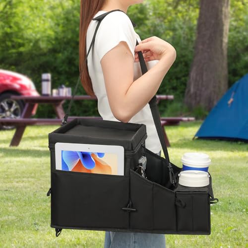 Car organizer for kids