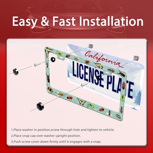 Butterfly Moth Beetle License Plate Frame Animal License Plate Holder