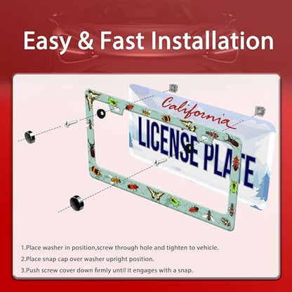 Butterfly Moth Beetle License Plate Frame Animal License Plate Holder