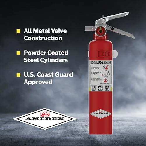 B417T 2.5 lbs ABC Dry Chemical Fire Extinguisher with Wall Bracket (40 Ounce)
