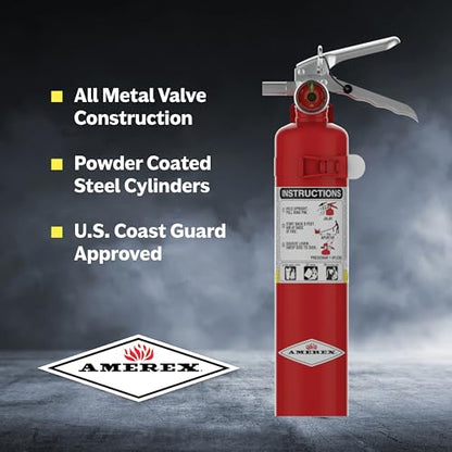 B417T 2.5 lbs ABC Dry Chemical Fire Extinguisher with Wall Bracket (40 Ounce)
