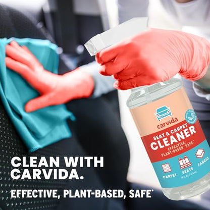 Seat & Carpet Instant Cleaner (16 Fl Oz)