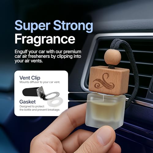 Car Air Fresheners for Men