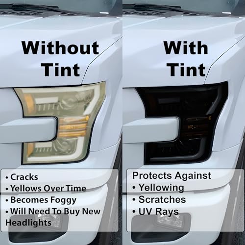 Rear Taillight Tail Light Tint Kit PPF Compatible with Toyota Camry 2025