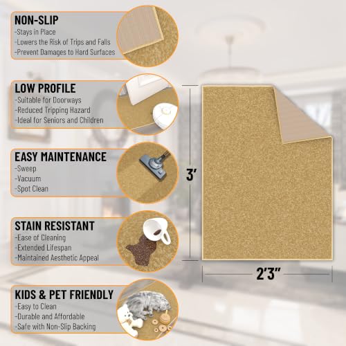 2x3 Entryway Rug