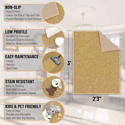 2x3 Entryway Rug