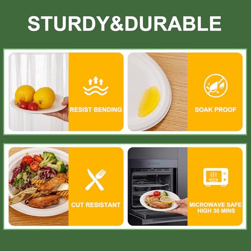 7 Inch Paper Plates 125 (125 Count)