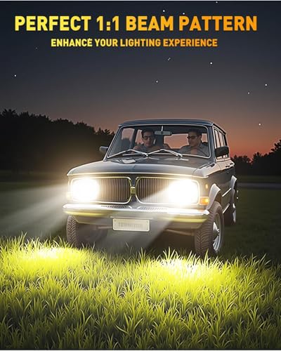 D2S Driving Fog Lights Assemblies