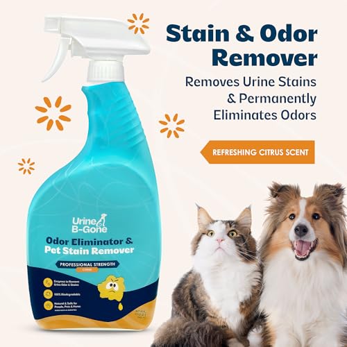 Urine B Gone Enzyme Cleaner for Human (32 Fl Oz)