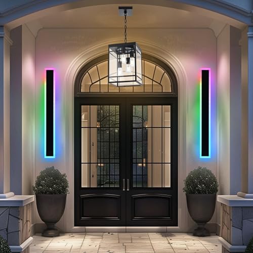 2 Pack Outdoor LED Wall Lights for House (2 Count)
