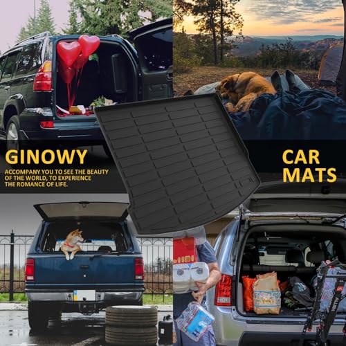 Floor Mats & Cargo Liner for Lincoln Corsair 2020