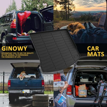 Floor Mats & Cargo Liner for Lincoln Corsair 2020