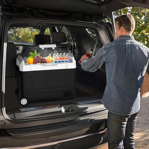 58QT Car Refrigerator 12