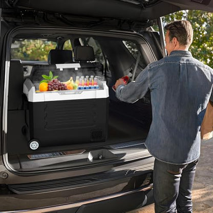58QT Car Refrigerator 12