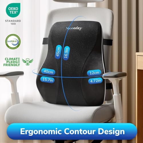 Lumbar Support Pillow for Office Chair Car Back Support Pillow
