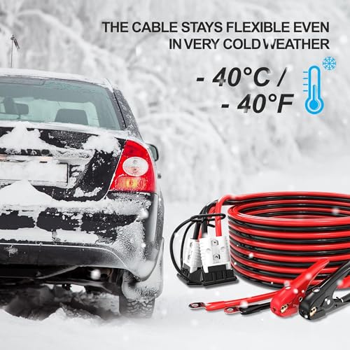 1 Gauge 30 Feet Heavy Duty Jumper Cables (30 Foot)