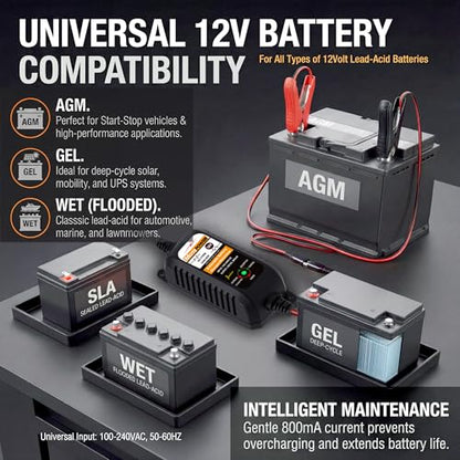 MP00205A 12V 800mA Automatic Battery Charger Maintainer