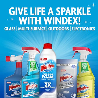 Electronic Cleaning Wipes (25 Count)