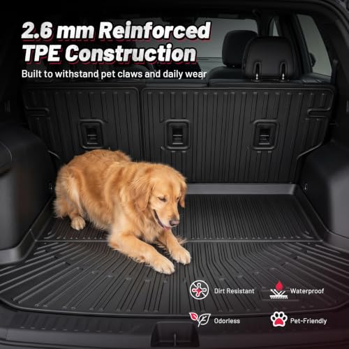 Floor Mats for Chevy Equinox