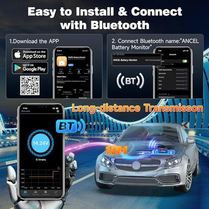 BM300 12V Battery Monitor