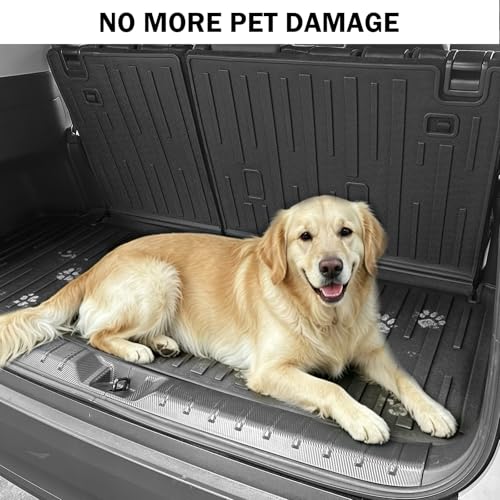 Floor Mats & Cargo Liner Set for 2024